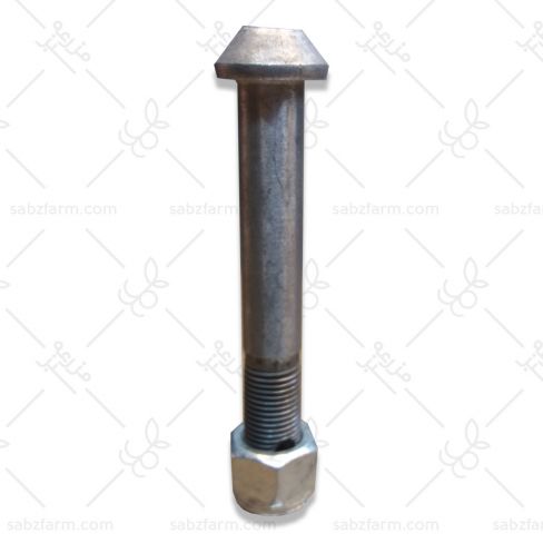 پيچ شاتون (دانه) ليستر ابي