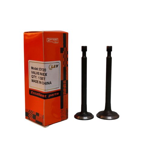 سوپاپ دودوهوا چيني روبين20