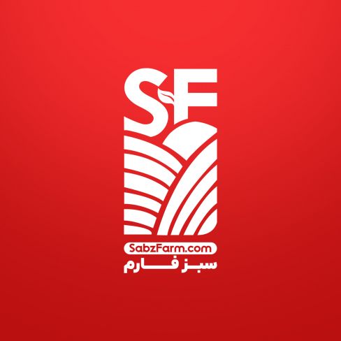 لوازم هندل R20 چيني