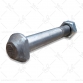 پيچ شاتون (دانه) ليستر ابي 3