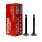سوپاپ دودوهوا هندا GX-120تايواني 2